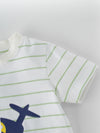 Comfy & Trendy T-shirt for Boys