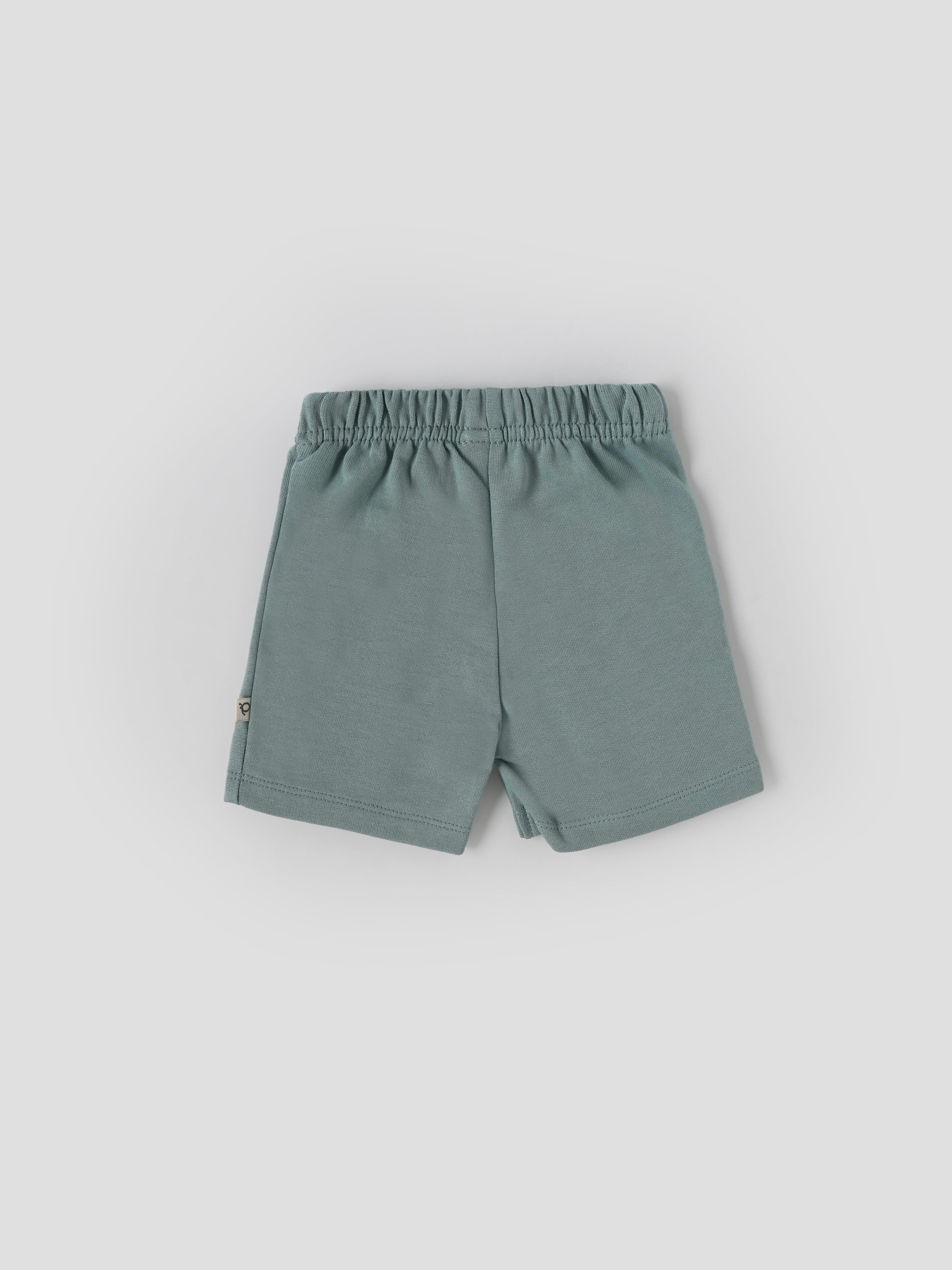 Popees Baby Boys Cotton T-Shirt & Shorts Set Leaf Print| 3–36 Months