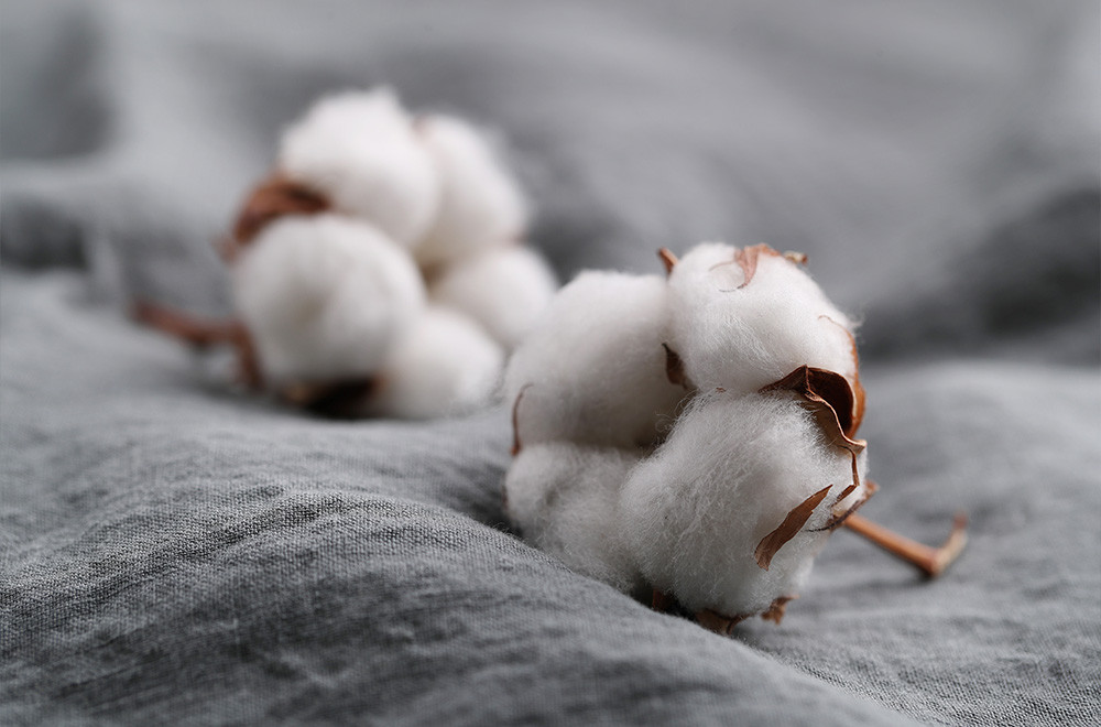 Why cotton is the top favourite fabric for babies?