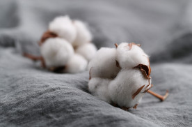 Why cotton is the top favourite fabric for babies?